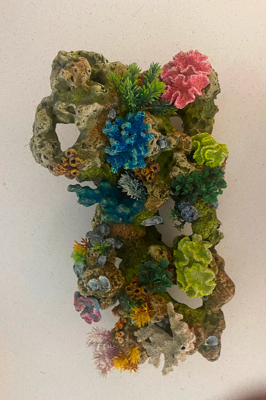 Aquarium coral decoration in Fish for Rehoming in Hamilton - Image 2
