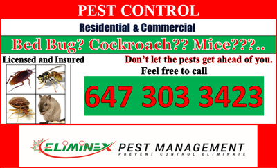 AFFORDABLE 24/7 PEST CONTROL! ELIMINEX PEST MANAGEMENT, View more