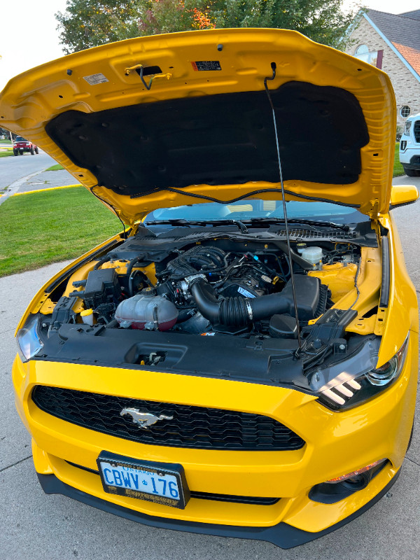 2017 Ford Mustang Yellow in Perfect Condition in Cars & Trucks in Kitchener / Waterloo - Image 2