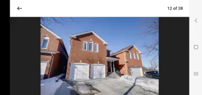 1 spacious room in 2 bedrooms basement