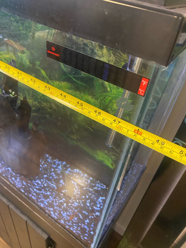 40 Gallon Fish Tank  in Other in Calgary - Image 2