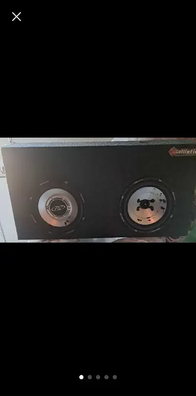 Dual Phoenix Gold two 10 inch Subwoofer with box, View more