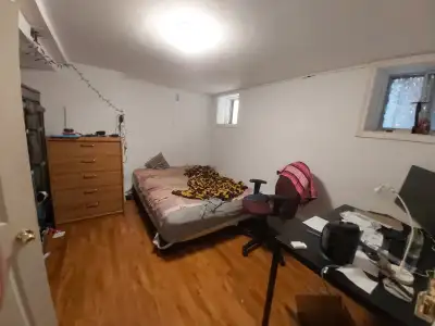 Basement for rent