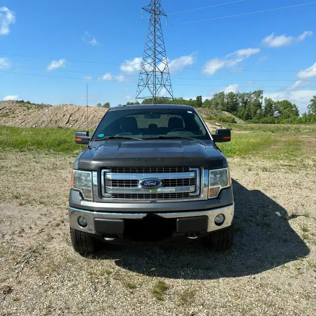 2014 Ford-F150539353843447910402
