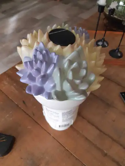 Succulent themed pool/hottub Chlorinator. includes a small solar panel light up feature. asking 13.0...