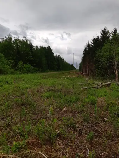 Magnifique terrain de 10.5 acres zoné blanc donc constructible. Peut-être divisé en 3 terrains de 3....