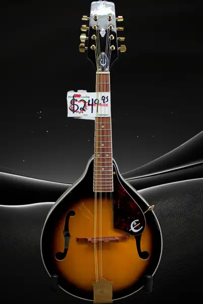 Looking to enter into the mandolin family without the large price tag? Well look no further than the...