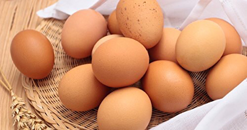  Farm fresh brown eggs & Honey in Other in Oakville / Halton Region