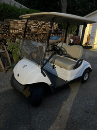  Golf cart TRAED for Sea-Doo   