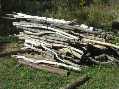 Free Wood, View more