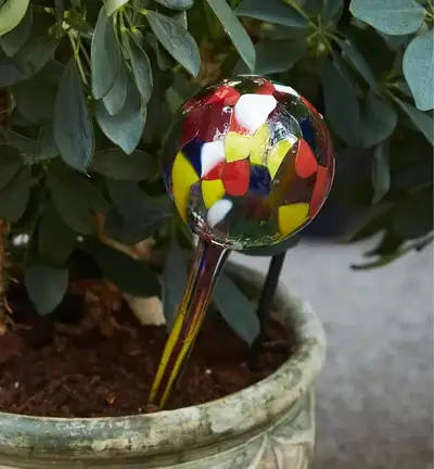 4 Lee Valley Plant Watering Bulbs, View more