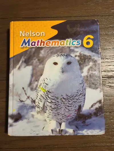 Nelson Mathematics 6 Grade 6 textbook Good condition