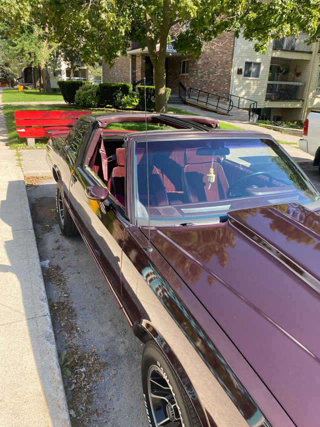 1985 Monte Carlo SS  in Classic Cars in Kingston - Image 3
