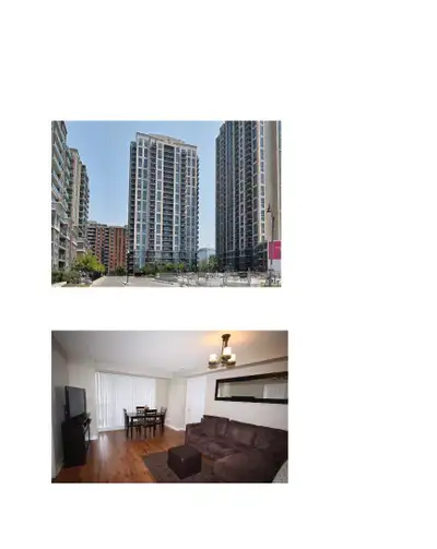 Fully Furnished Large 1Br Condo w/Parking, Wi-Fi, W/D and Cable