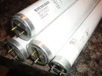 Fluorescent (tube), Tube / Ampoule  48 po., Sylvania et LUXLINE