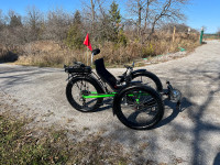 Trident Trike - Mountain - E-bike