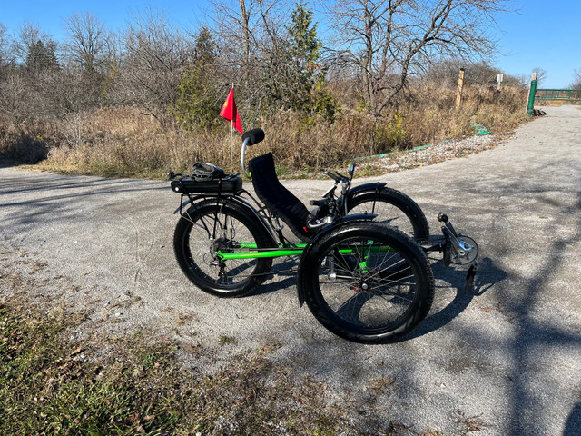 Trident Trike - Mountain - E-bike in Mountain in Markham / York Region