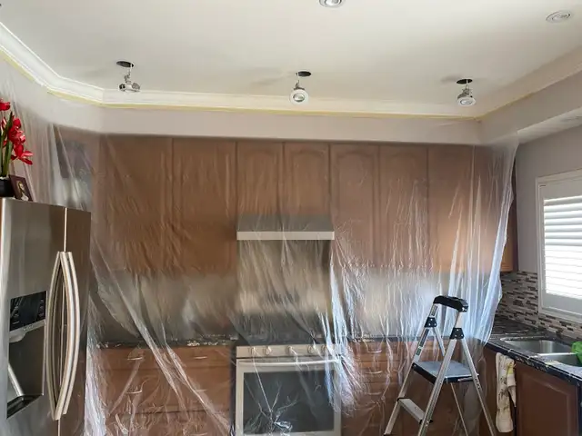 professional painter605033189134848002