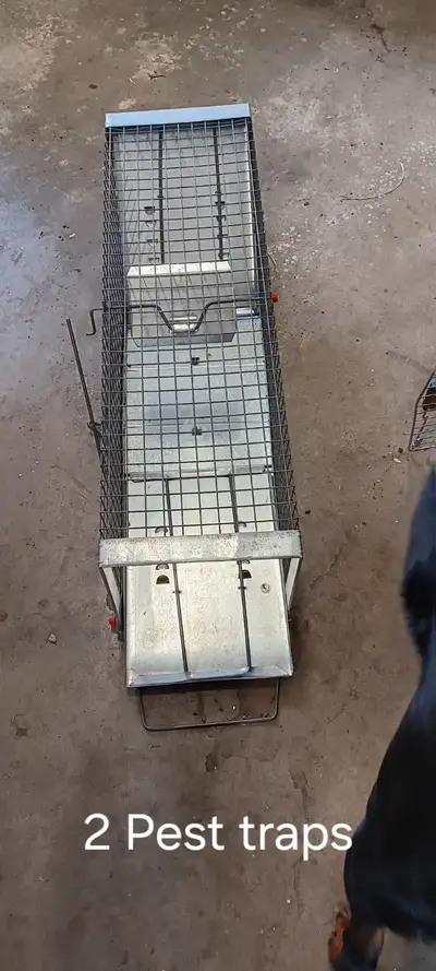 Large and medium sized skunk/ cat / rabbit traps Varmint traps