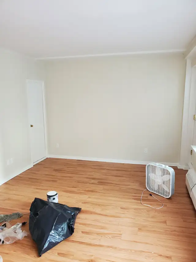 Painting & Plastering Quality Work64241767300737123