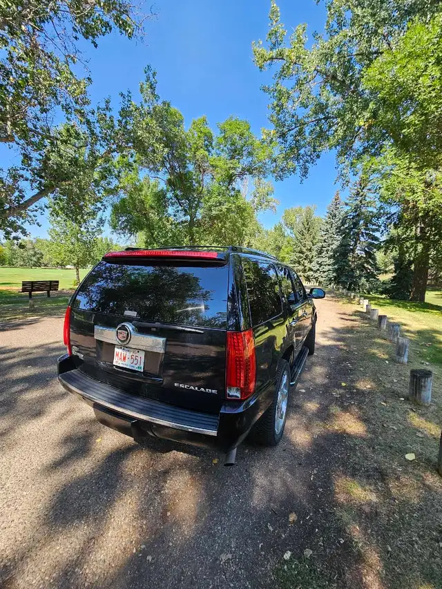 2009 Cadillac Escalade513080836616376323