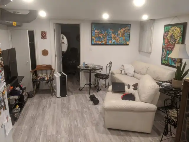 Annex Beautiful Spacious basement apartment near Dupont subway