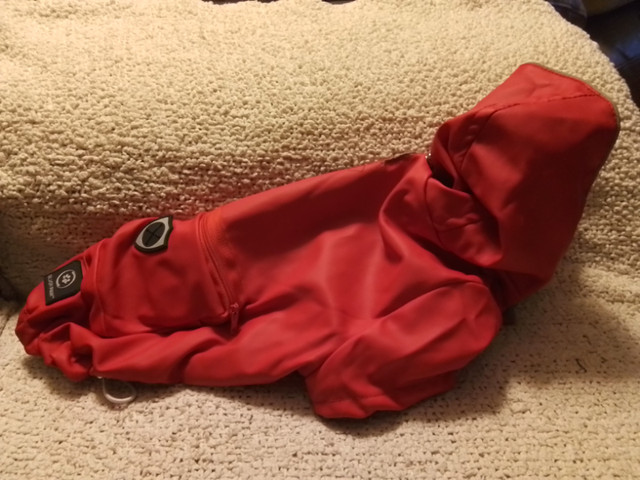 Manteau imperméable pour chien taille M  (Aden) jamais porté dans Accessoires  à Longueuil/Rive Sud - Image 2