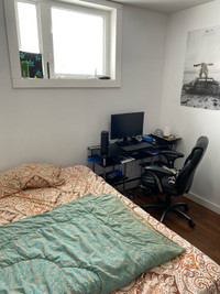 Private room for rent from May 