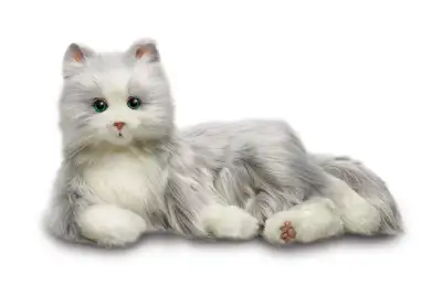 Chat robot pour personnes âgées , View more