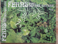 Ferns from Mother Nature by James E. Gick – 1977