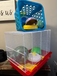 Hamster cage (all new) with lots of accessories 