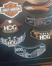 Articles Harley Davidson 