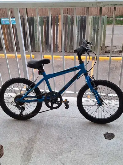 This is a Movevelo Algonquin Eighteen kids' mountain bike with 20-inch wheels, perfect for young rid...