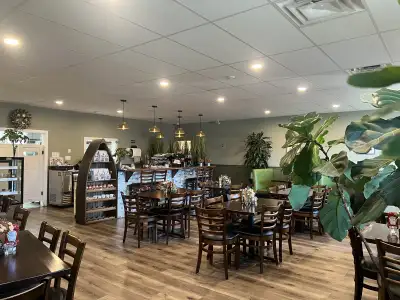 Food and beverages server-65200, View more