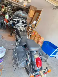 1998 Honda Shadow