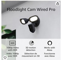 Floodlight Camera Pro (Birdeye View)