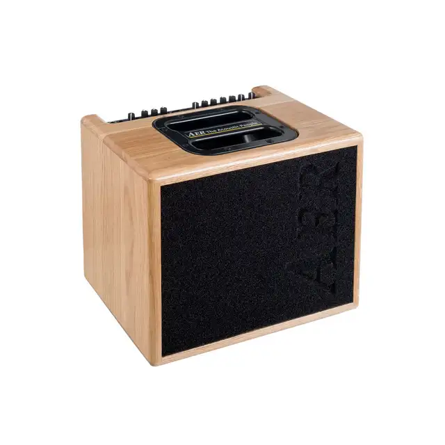 AER AMPS  finally back in Canada . in Amps & Pedals in Mississauga / Peel Region - Image 7