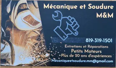 Mécanique et entretien petit moteur, View more