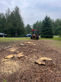 Tree Service & Stump Removal 