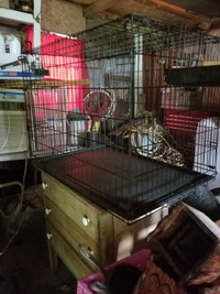 Grande cage pour animale
