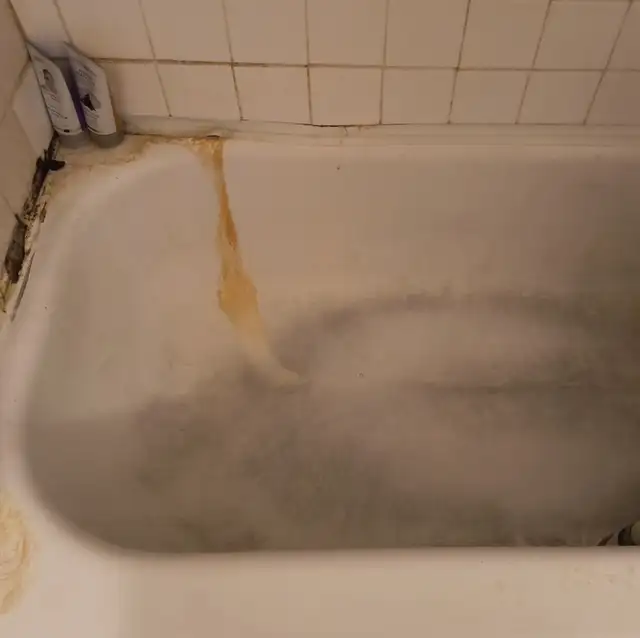 Bath-tub Black Mold Removal, Tile & Grout Cleaning & Caulking633844767084831217