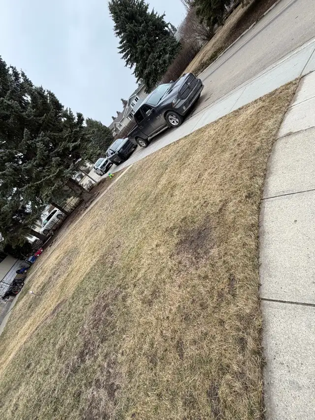 Backyard Cleaning & Yard Work Services – Edmonton449234463967815681