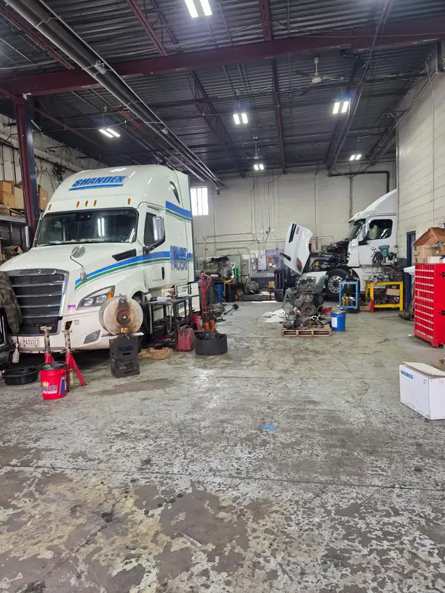 Photo 4