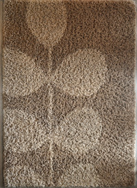 Area rug - beige - shag - 5 ft x 7-1/2 ft