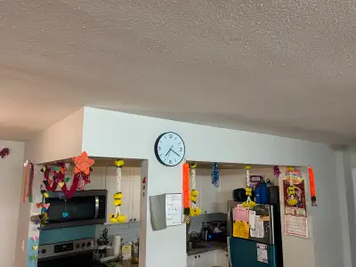 1 shared Male Accommodation 550 CAD