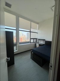DOWNTOWN TORONTO : APARTMENT FOR RENT