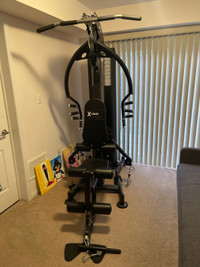 Multi - Functional Gym with Leg Press 