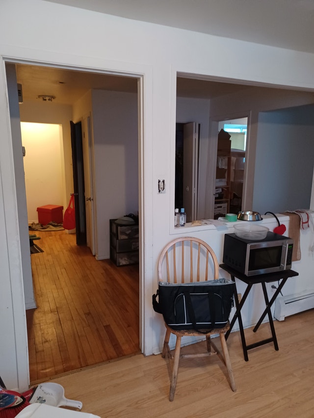 chambre à loué ou sous location (chien, chat accepté) longueuil — photo 3