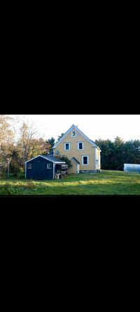 Farm and house for rent