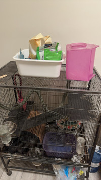 rat and chinchilla cage and accessories